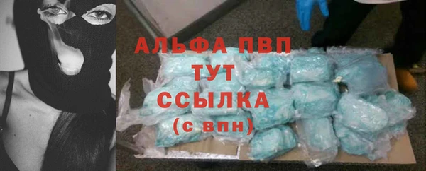 дживик Беломорск