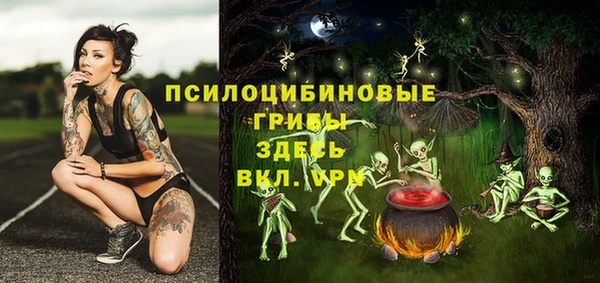 дживик Беломорск