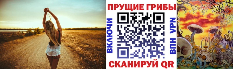 дарк нет формула  Малая Вишера  Галлюциногенные грибы GOLDEN TEACHER  купить наркоту 